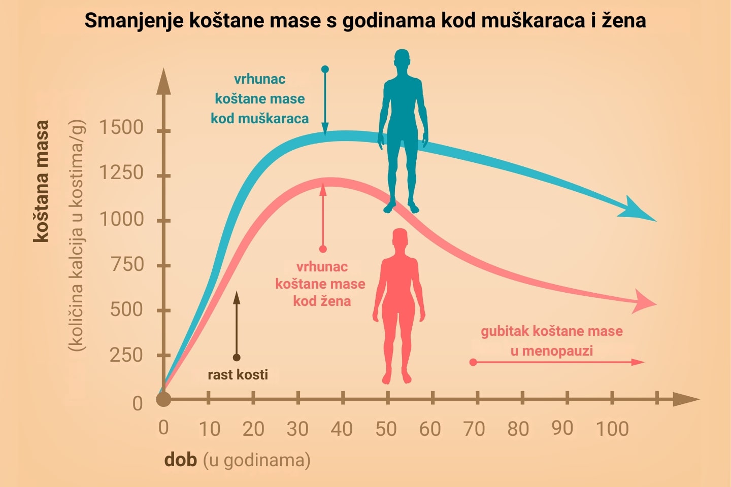 Dijagram smanjenja koštane mase s godinama kod žena i muškaraca